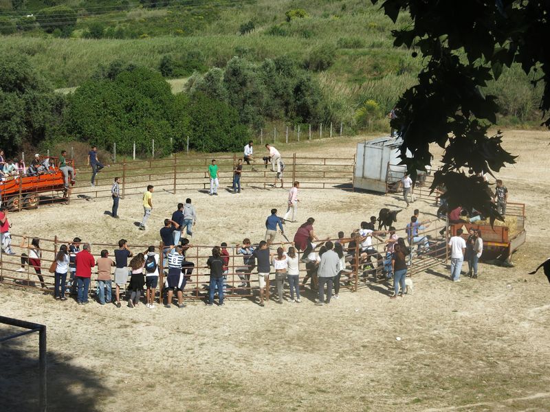 20170520 DiaDaEscola 116