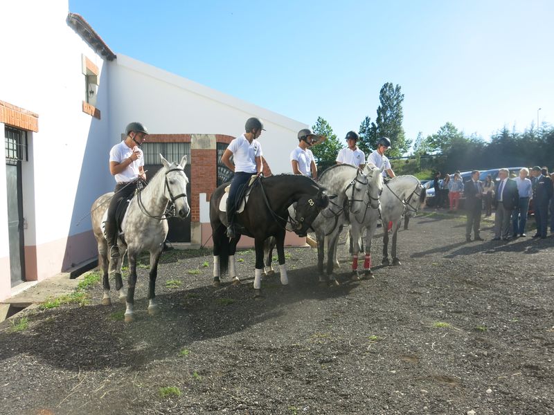 20170520 DiaDaEscola 4