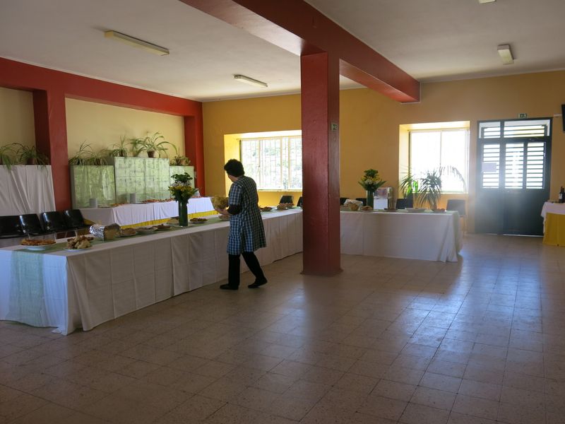 20170520 DiaDaEscola 74