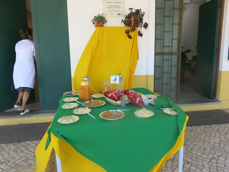 20170520 DiaDaEscola 77