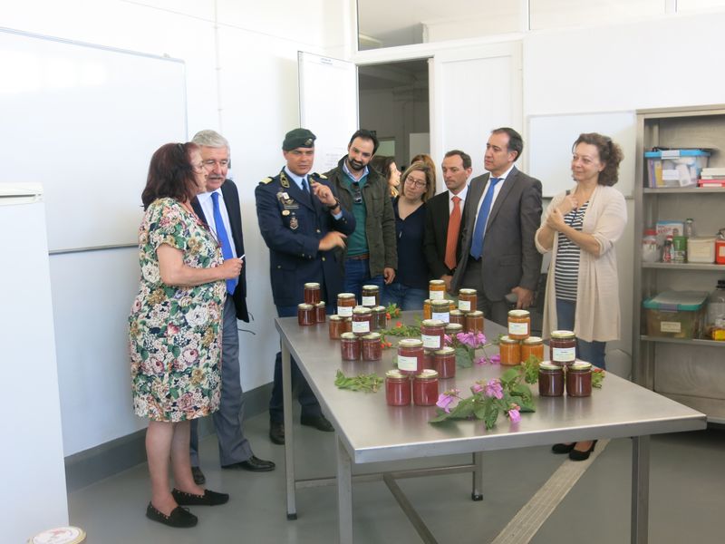 20170520 DiaDaEscola 84