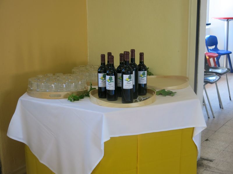 20170520 DiaDaEscola 90