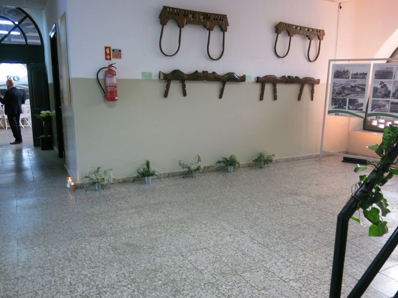 20170520 DiaDaEscola Jantar 11