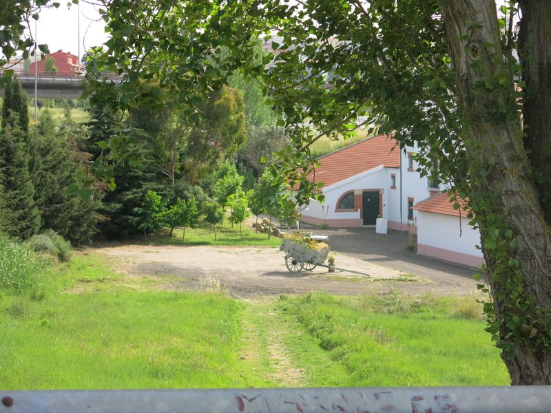 20170520 DiaDaEscola Jantar 2