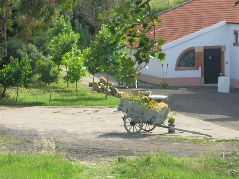 20170520 DiaDaEscola Jantar 3