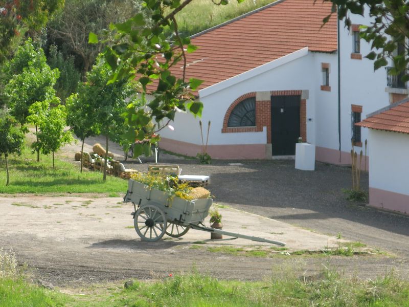 20170520 DiaDaEscola Jantar 4