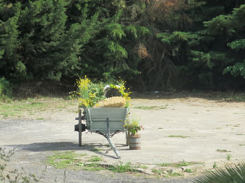 20170520 DiaDaEscola Jantar 5