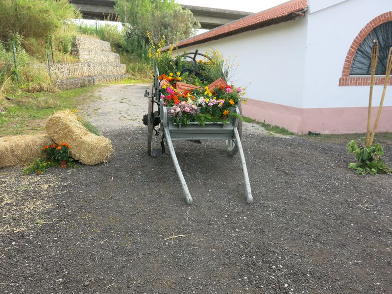 20170520 DiaDaEscola Jantar 8