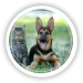 Técnico Cuidador de Animais de Companhia